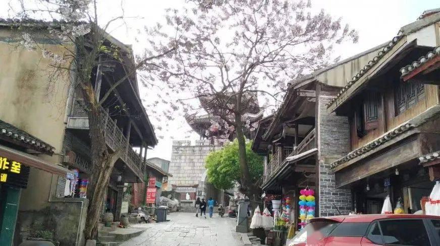 图览2024年全国生态环境保护工作会议